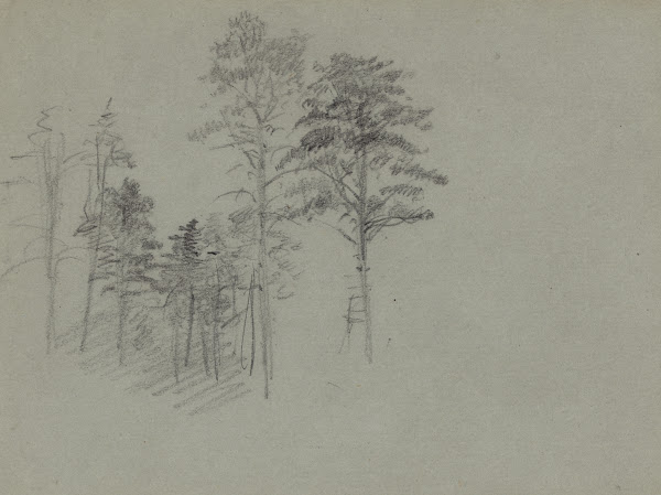 Trees 1860 1864