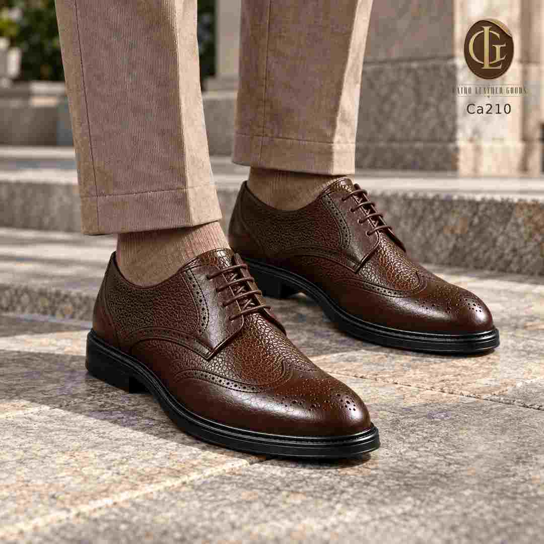 Ca210 05 Ca210 brown lifestyle.jpg
