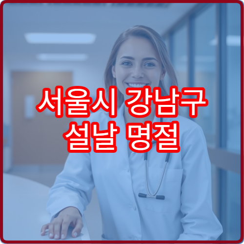 서울시 강남구 설날 명절 내과 연휴 진료 병원 고혈압·소화불량·감기 응급 관리 가능