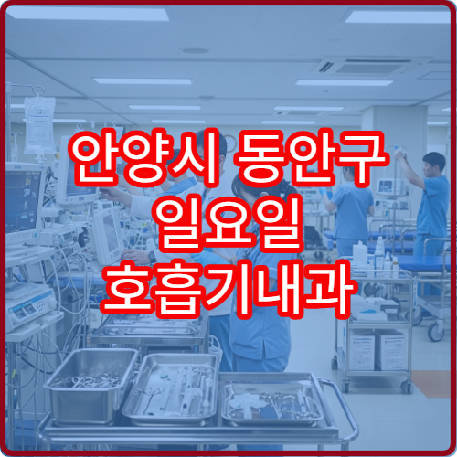 안양시 동안구 일요일 호흡기내과 진료 병원 기침·호흡곤란 상담 가능