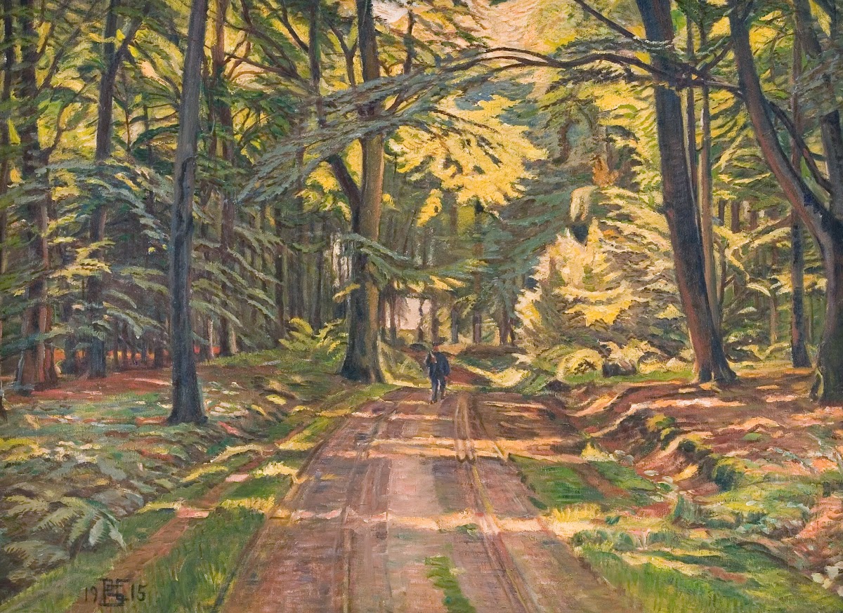 Skovvej ved Dyrnæs 1915