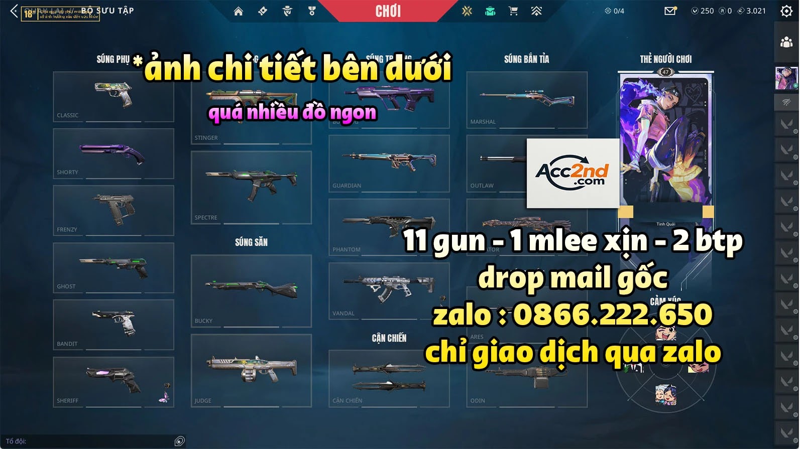 Account Preview