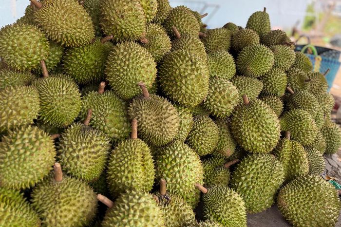 Cadimi khiến 'vua trái cây' Việt Nam lao đao trên thị trường xuất khẩu - Báo VTC News