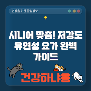 시니어 요가, 저강도 요가, 노인 유연성, 실버 요가, 시니어 건강