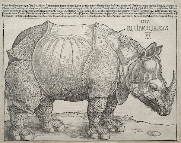 The Rhinoceros 1515
