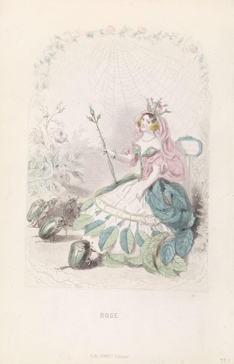 Rose 1840s