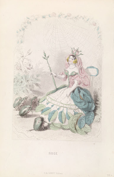 Rose 1840s