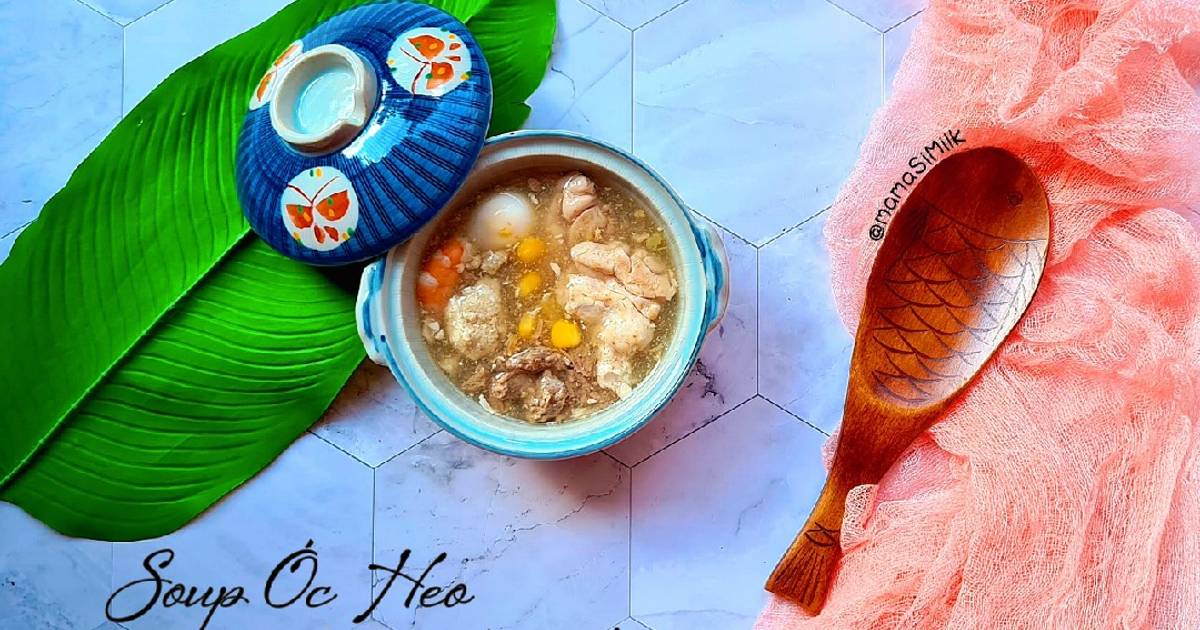 Soup óc heo tả pí lù - 8m+