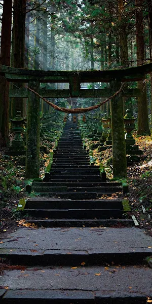 Nature, Torii, Japan, Shinto, Rock Stairs 5K Wallpaper Background