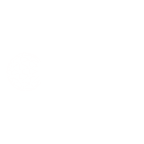 XData