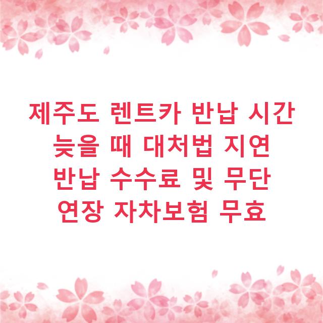 제주도 렌트카 반납 시간 늦을 때 대처법 지연 반납 수수료 및 무단 연장 자차보험 무효
