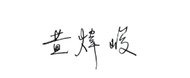 Director Signature