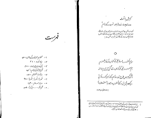 Download Undlas Main Ajnabi by Mustansar Hussain Tarar