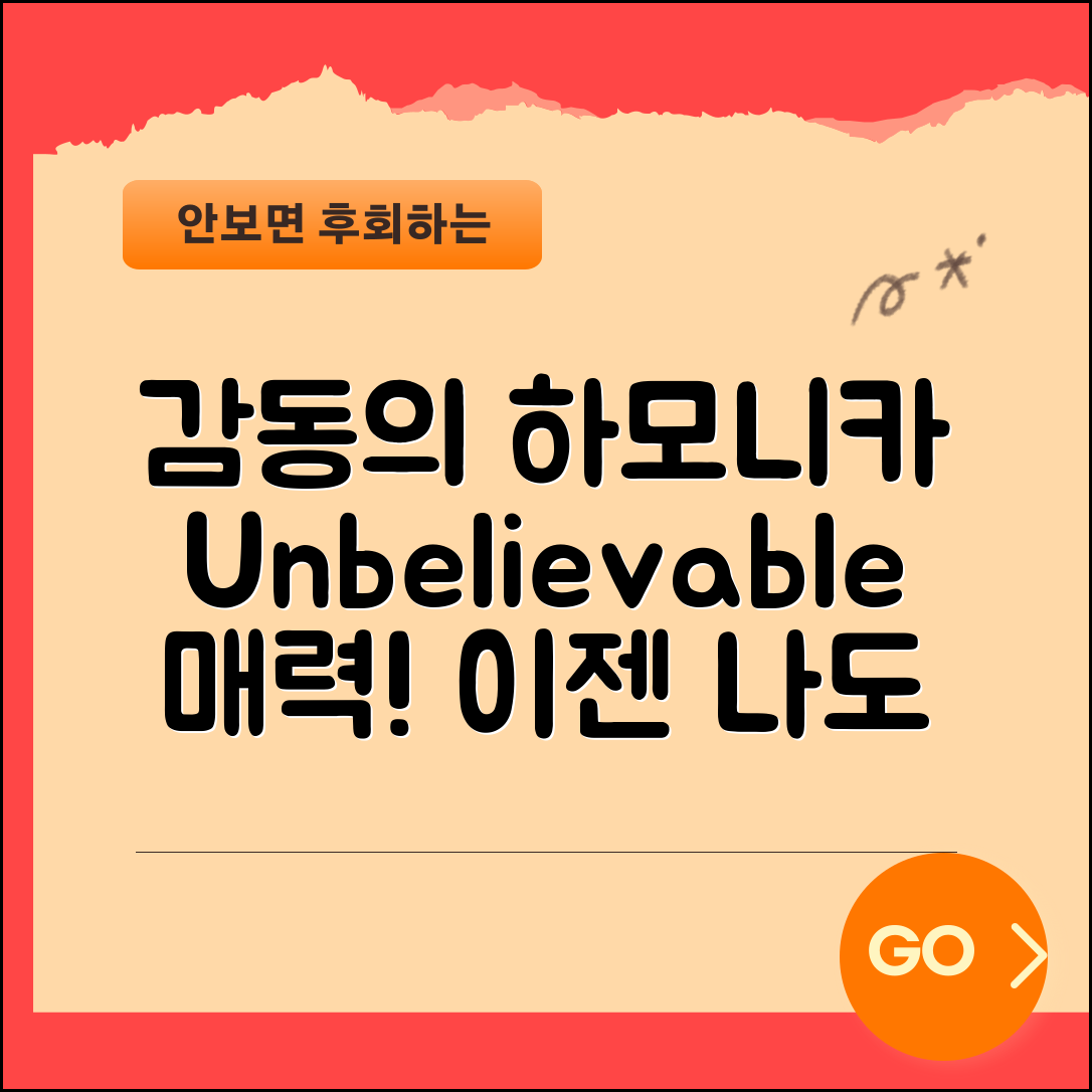 믿을 수 없는 하모니카am의 감동적인 매력