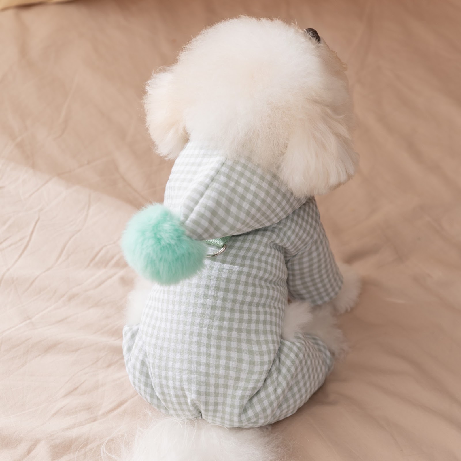 Dog jacket with four legs, cotton, padded