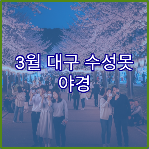 3월 대구 수성못 야경 데이트 로맨틱 팁과 커플 추천 완벽 코스