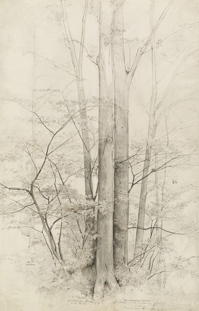 A Stand of Trees 1840