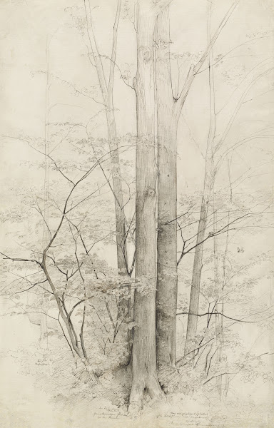 A Stand of Trees 1840