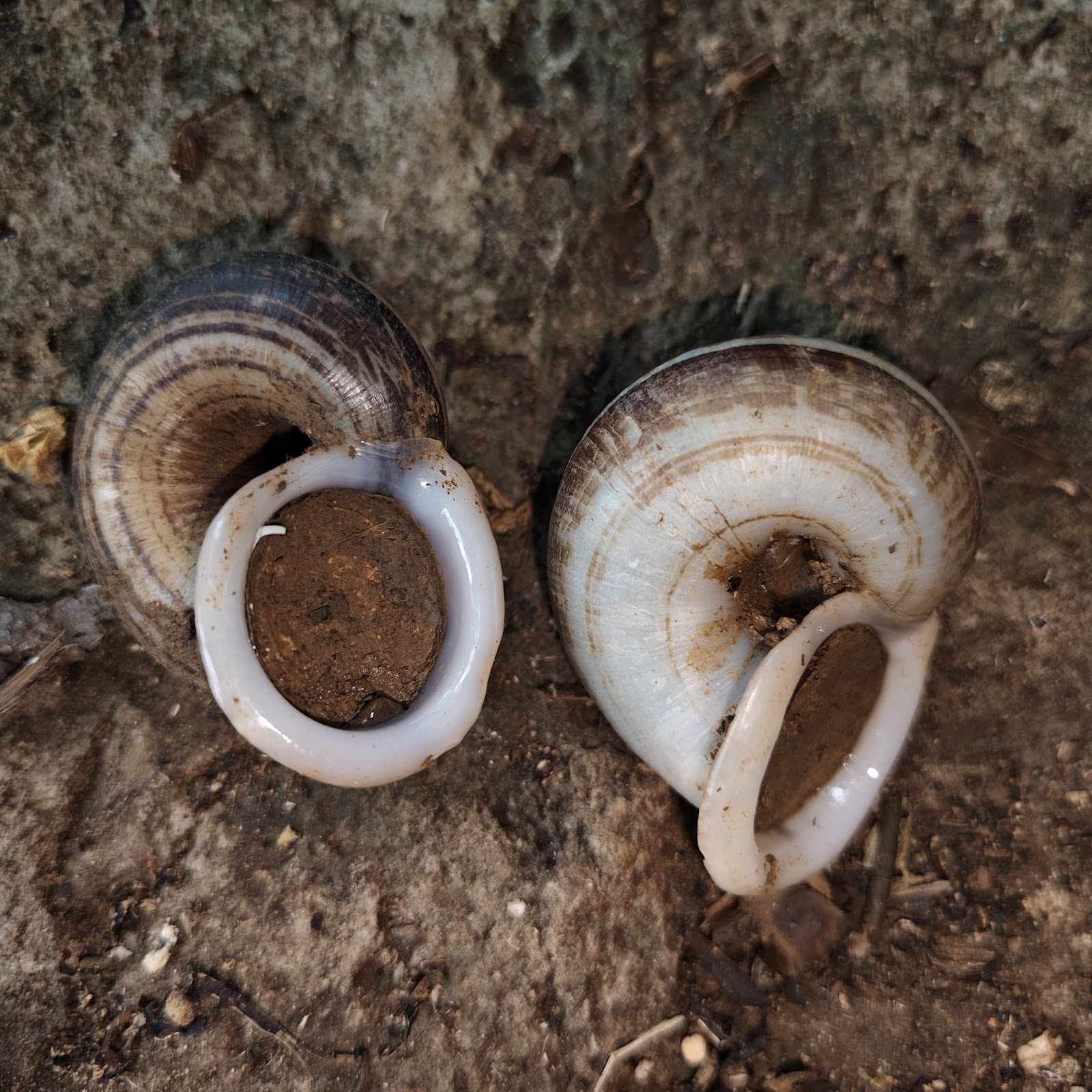 Mekong Valley Bike Ride — photo 5