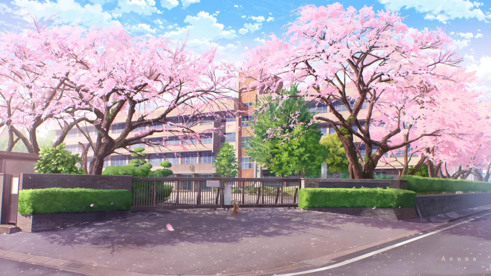 Anime School With Cherry Blossoms - Anime Background Art 4K Wallpaper (3840x2160)