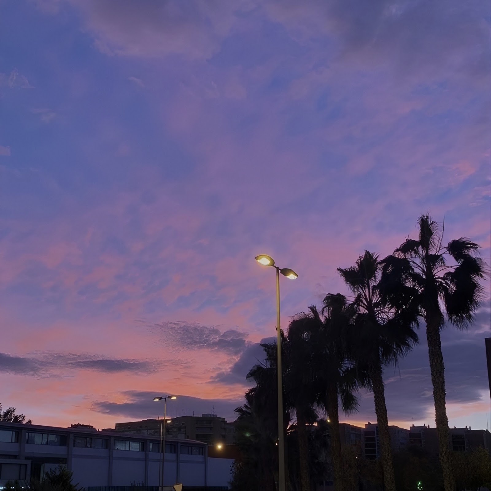 Download Purple Twilight Street With Palms Full HD iPhone