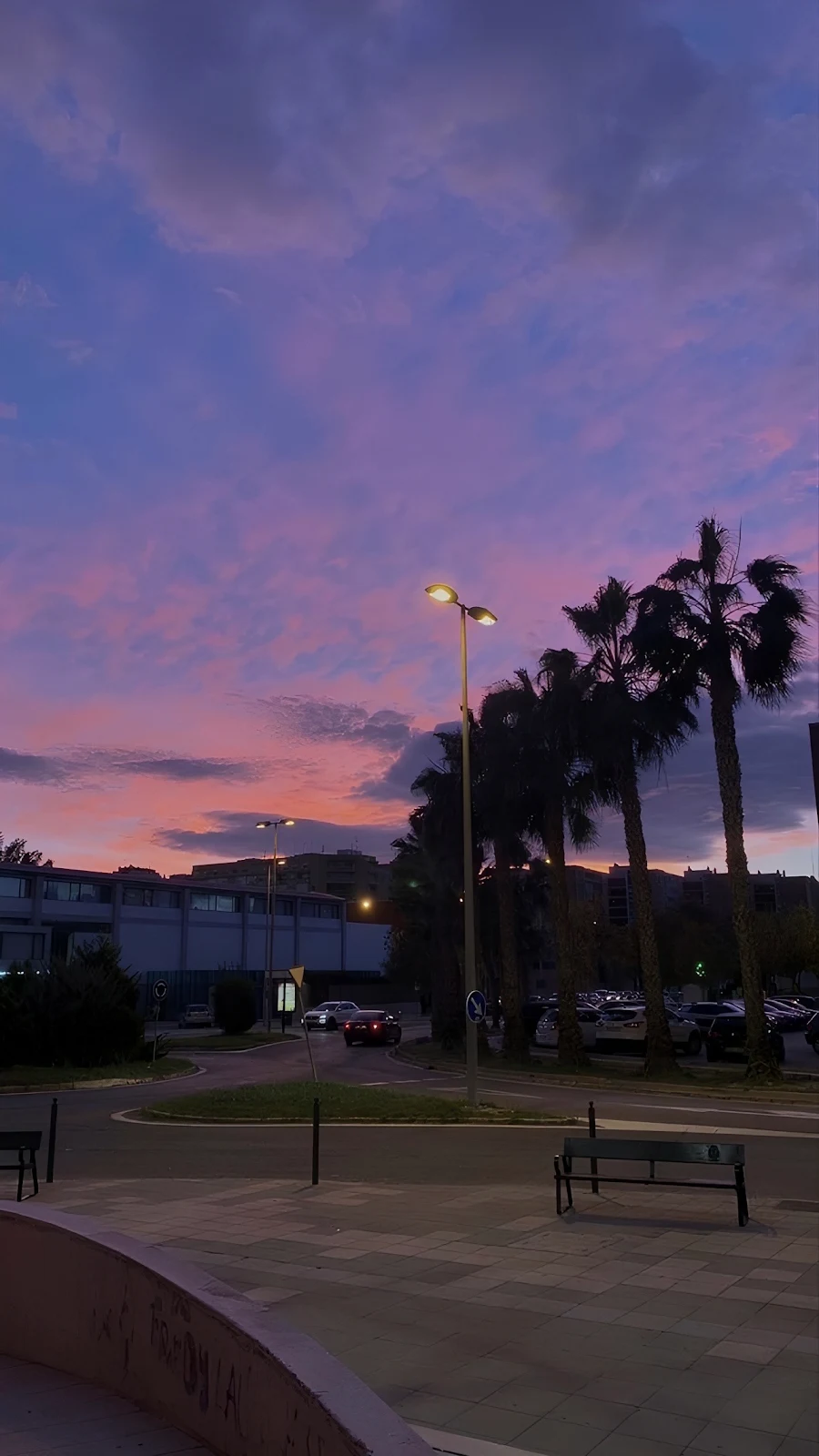 Purple Twilight Street With Palms - Urban Photography Full HD iPhone Wallpaper (1286x2286)