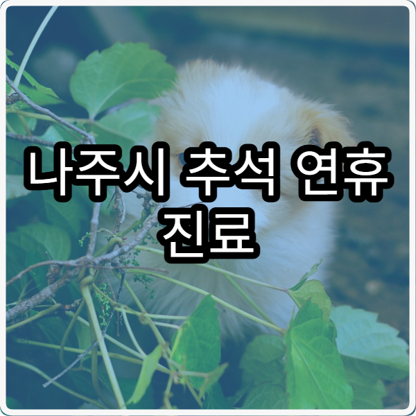 나주시 추석 연휴 진료 병원 찾는 방법과 운영시간 안내