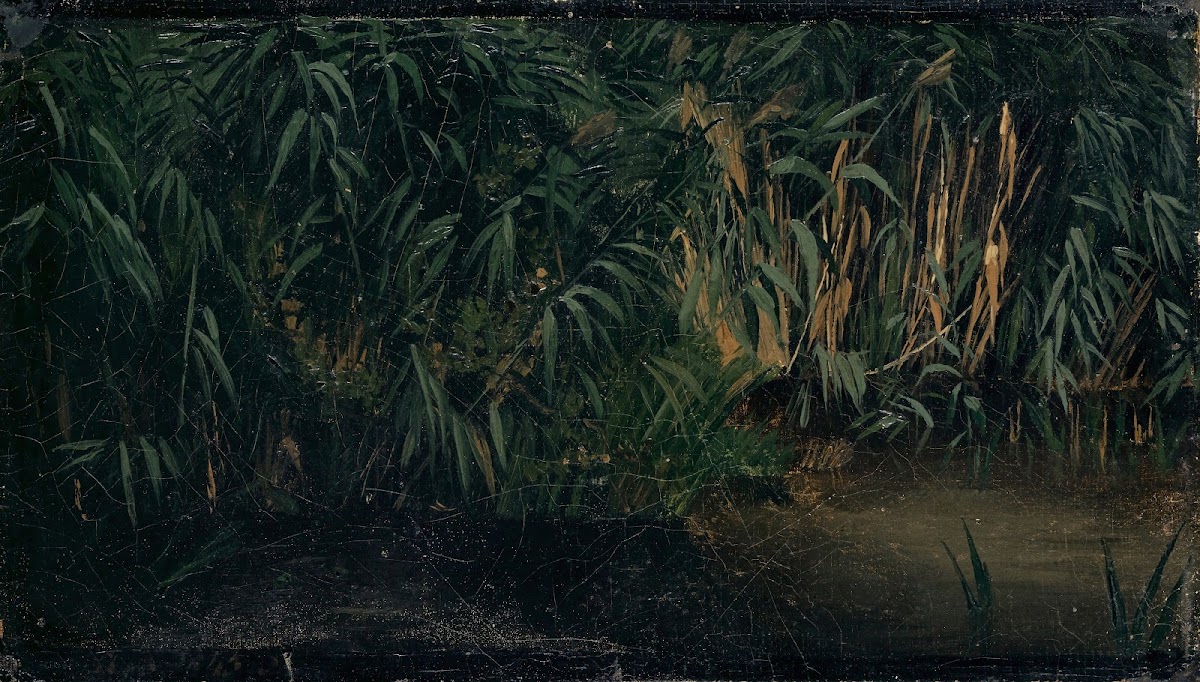 Reed 1845