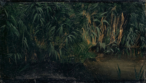 Reed 1845