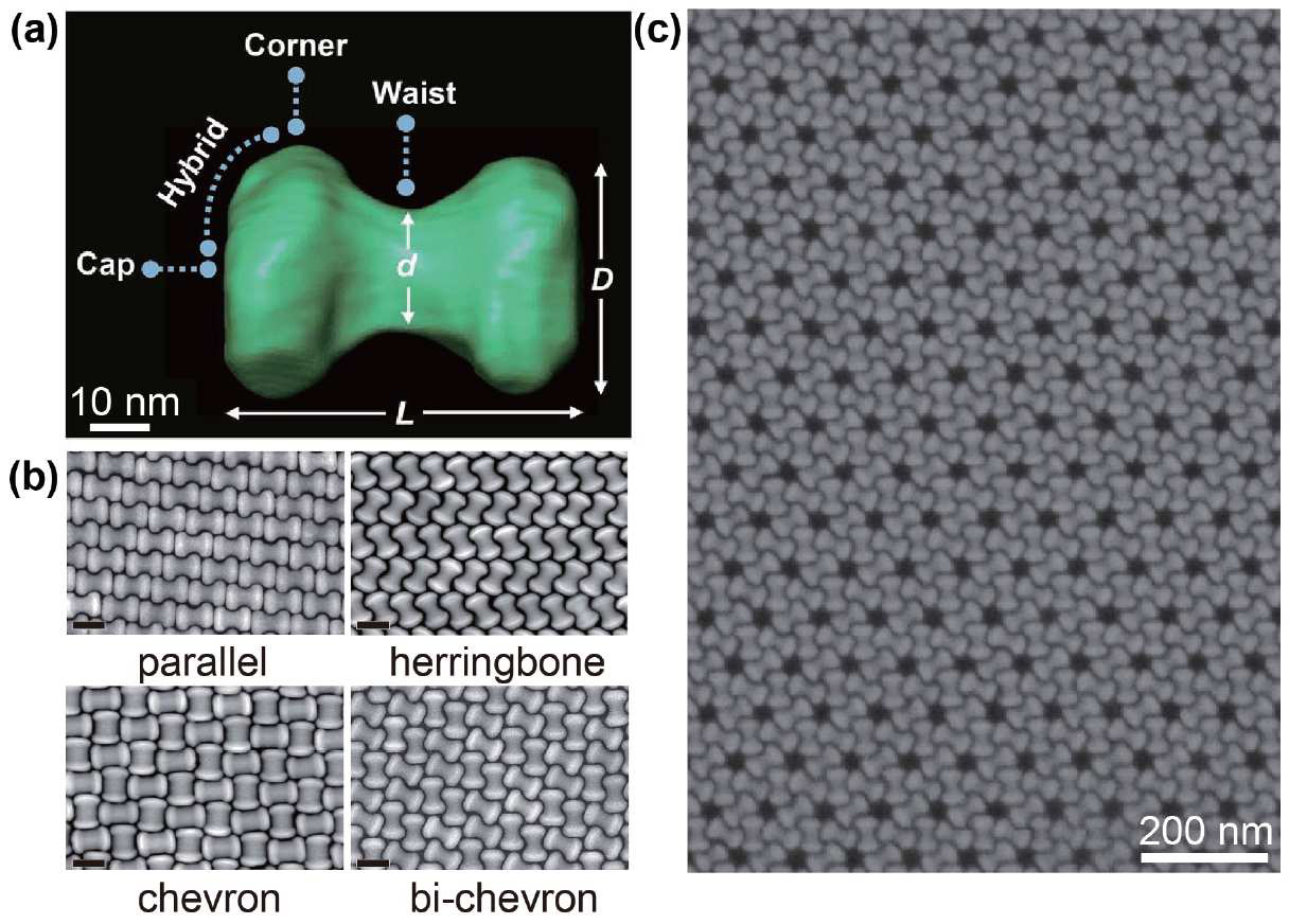 Unveiling Kagome Superlattices in Nonconvex Nanocrystals