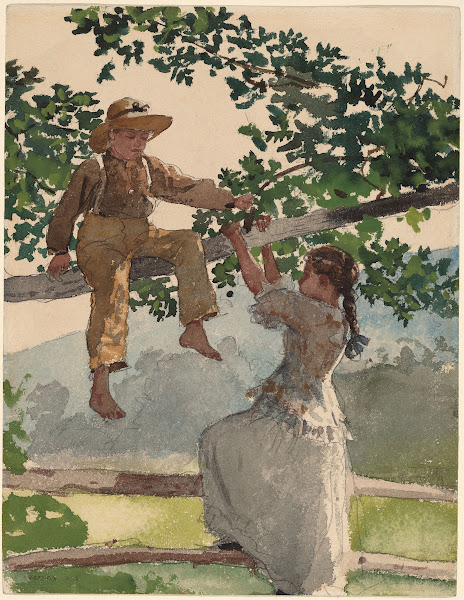 On the Fence 1878