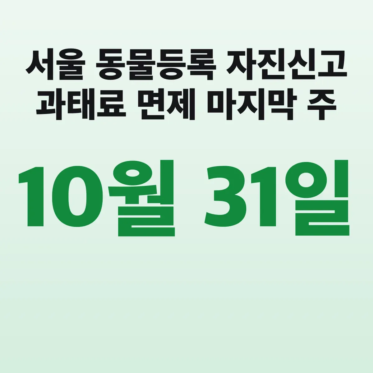 서울 동물등록 자진신고 10월 31일 과태료 면제 마지막 주