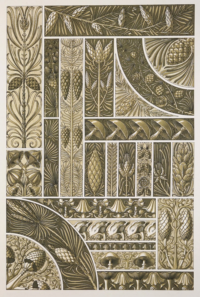 Die Pflanze in Kunst und Gewerbe Pl059 1886