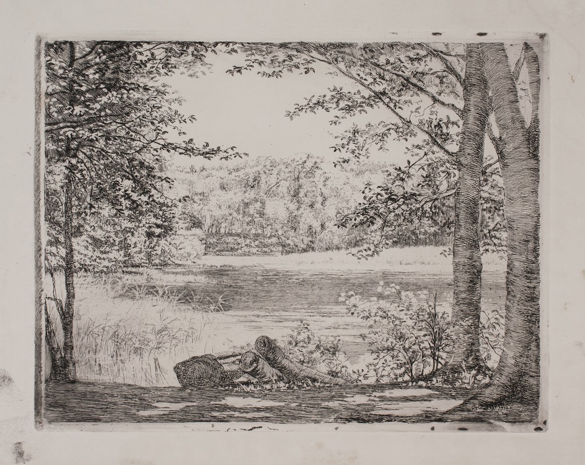 A forest lake near Hellebæk 1887