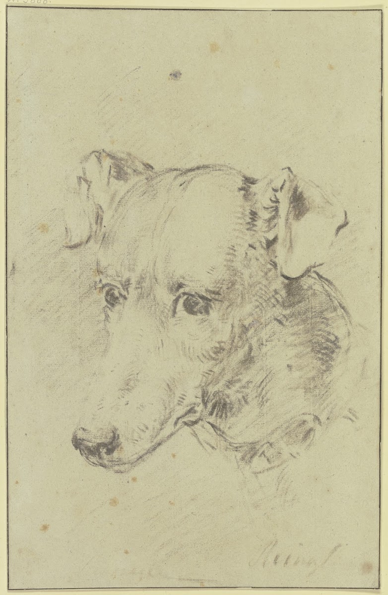 Dogs head to the left