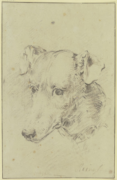 Dogs head to the left