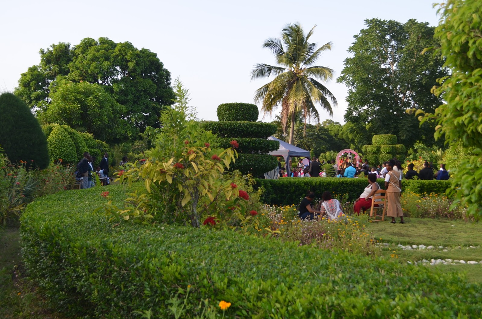 S'impliquer au Jardin Botanique des Cayes