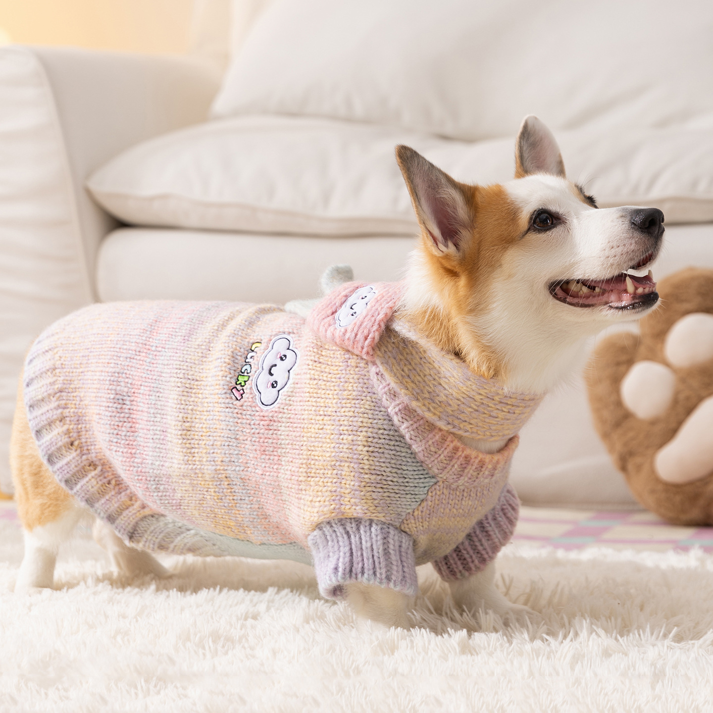 Rainbow sweater for dogs, four seasons