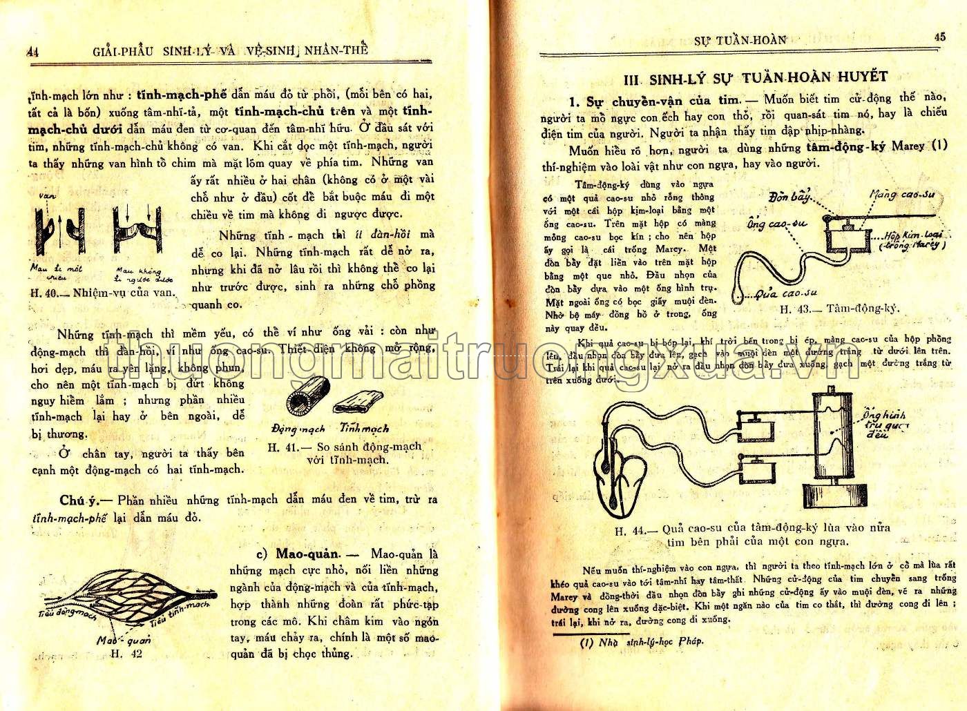 Vạn vật học lớp đệ tứ (1959) - Trang 23