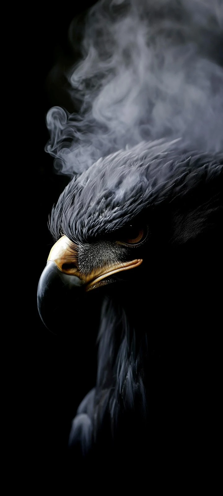Majestic Dark Eagle With Smoke - Dramatic Digital Art 4K iPhone Wallpaper (2262x5027)