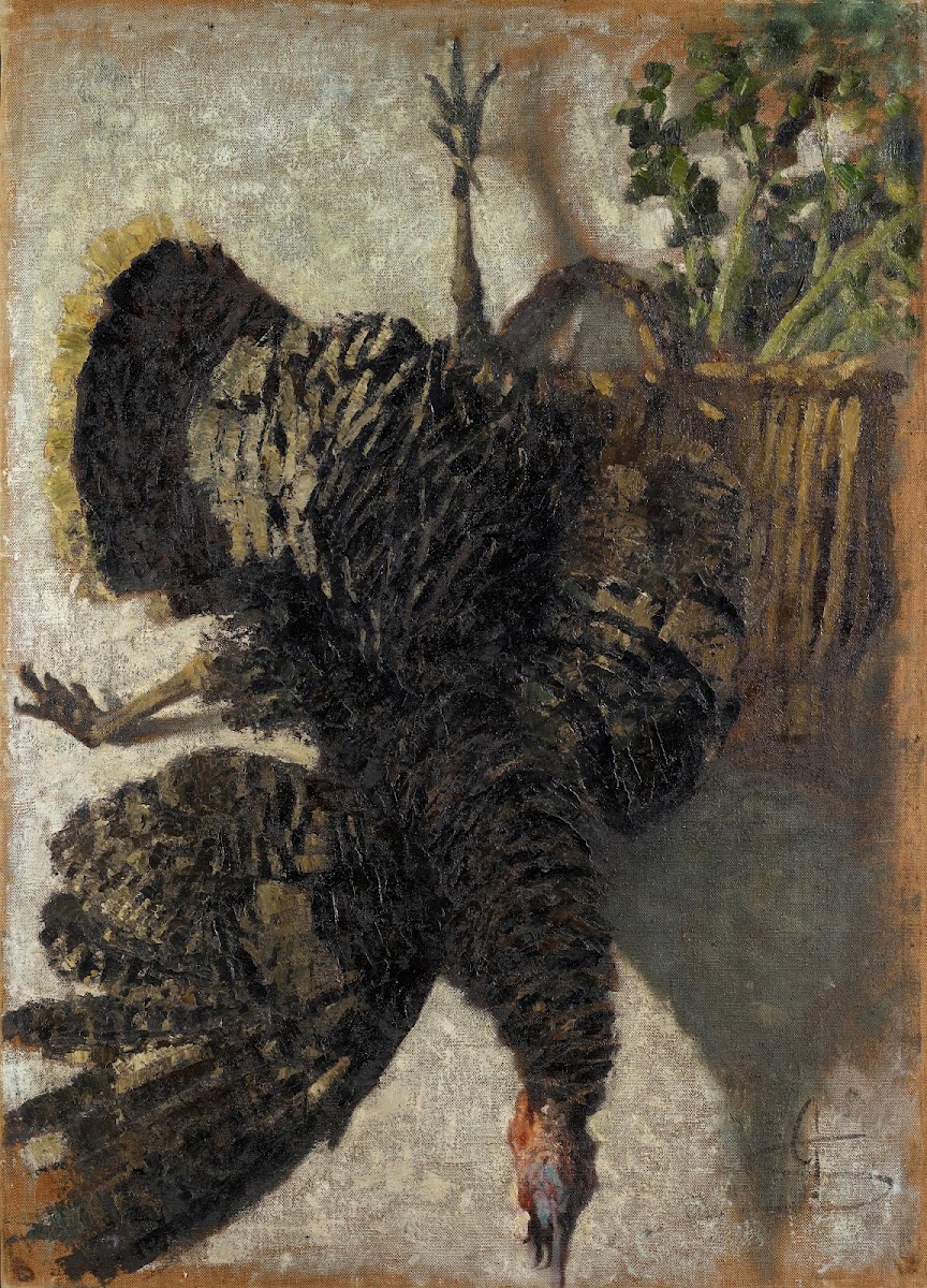 Suspended Turkey 1881