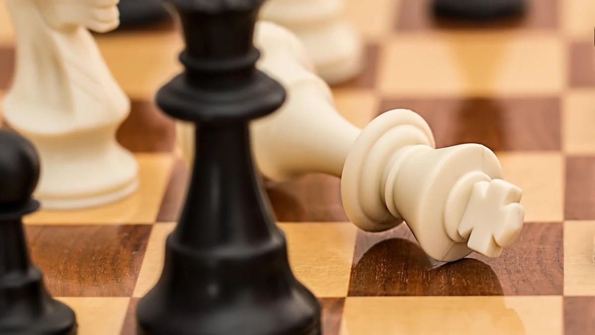 명제의 종류와 논리적 사고에 미치는 영향 분석