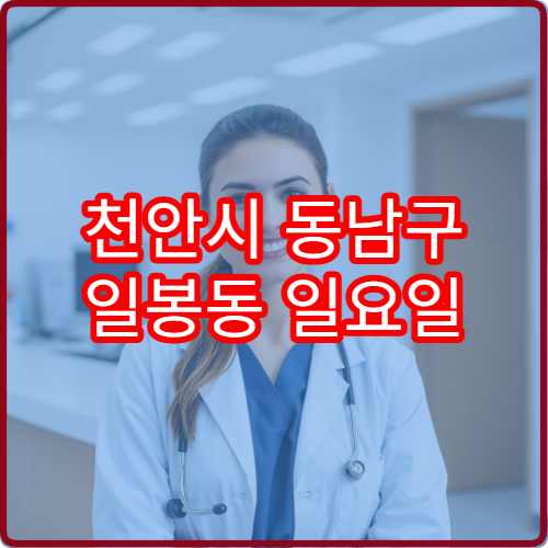 천안시 동남구 일봉동 일요일 이비인후과 진료 병원 중이염 검사 안내