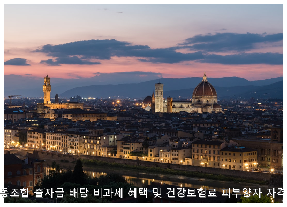 2026년 사회적협동조합 비과세 배당 및 건보료 유지 가이드 핵심 안내 및 분석 인포그래픽 (8)