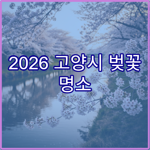 2026 고양시 벚꽃 명소 순위 일산호수공원 평일 가이드