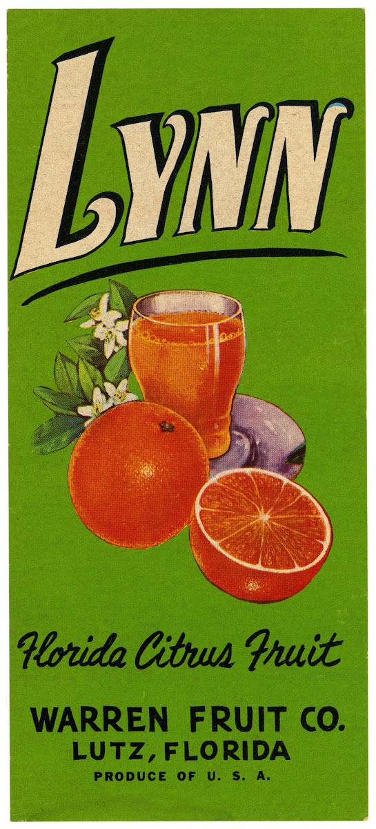Lynn Florida Citrus Fruit Label 1930 1950