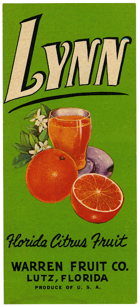 Lynn Florida Citrus Fruit Label 1930 1950