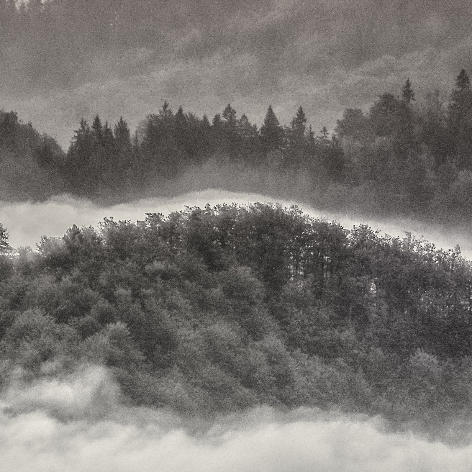 Download Autumn Fall Trees 4K iPhone