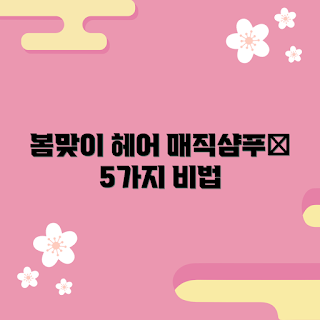 매직샴푸 추천, 머리카락 관리, 봄 헤어케어, 건강한 모발, 셀프 헤어 트리트먼트