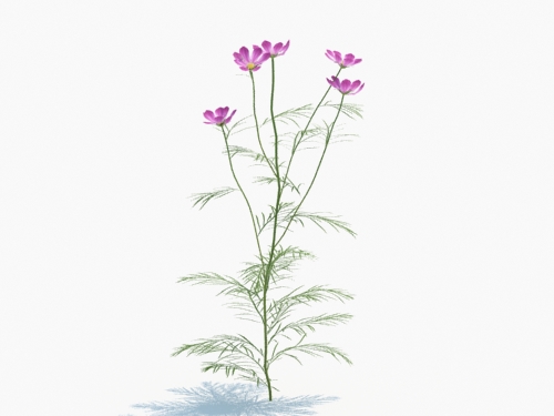 Maxtree - Plant Models Vol.3